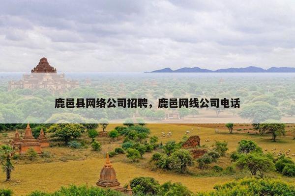 鹿邑县网络公司招聘，鹿邑网线公司电话