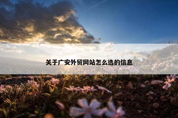 关于广安外贸网站怎么选的信息