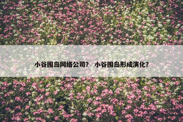 小谷围岛网络公司？ 小谷围岛形成演化？