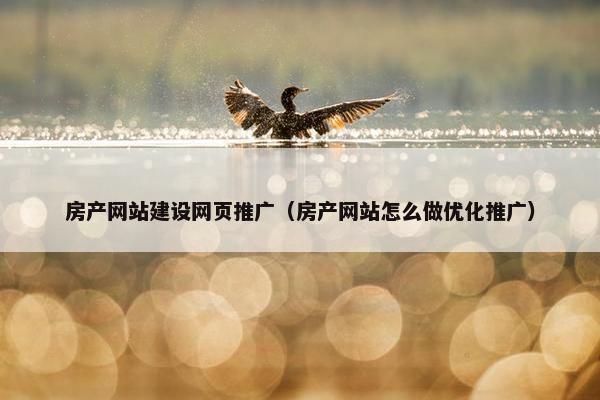 房产网站建设网页推广（房产网站怎么做优化推广）
