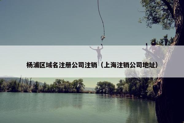 杨浦区域名注册公司注销（上海注销公司地址）