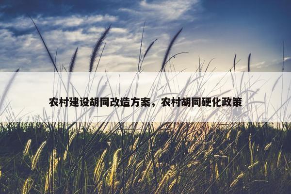 农村建设胡同改造方案，农村胡同硬化政策