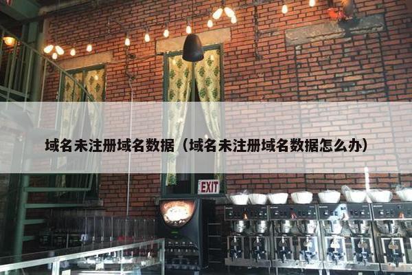 域名未注册域名数据（域名未注册域名数据怎么办）
