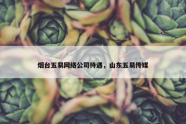 烟台五易网络公司待遇，山东五易传媒