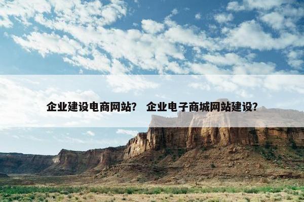 企业建设电商网站？ 企业电子商城网站建设？