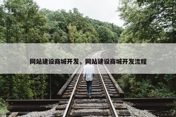 网站建设商城开发，网站建设商城开发流程