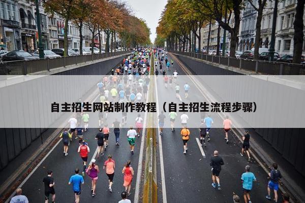 自主招生网站制作教程（自主招生流程步骤）