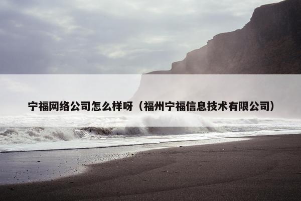 宁福网络公司怎么样呀（福州宁福信息技术有限公司）