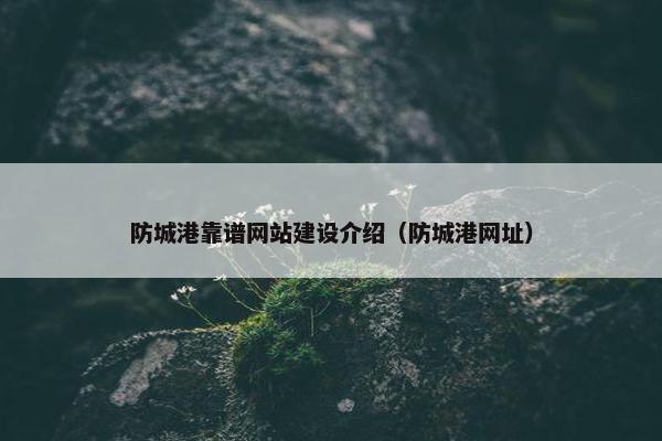 防城港靠谱网站建设介绍（防城港网址）