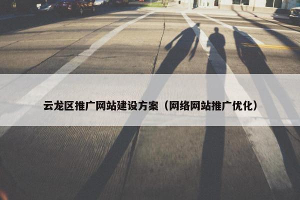云龙区推广网站建设方案（网络网站推广优化）