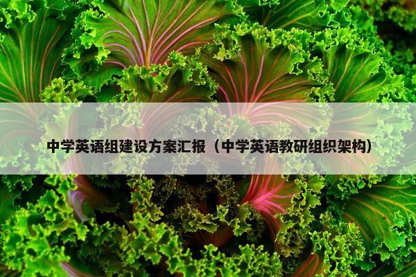中学英语组建设方案汇报（中学英语教研组织架构）
