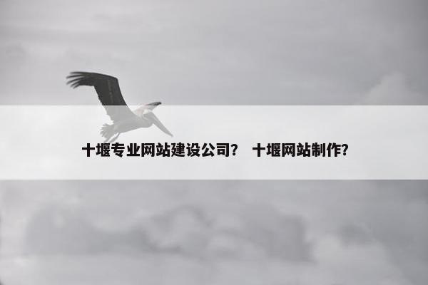 十堰专业网站建设公司？ 十堰网站制作？