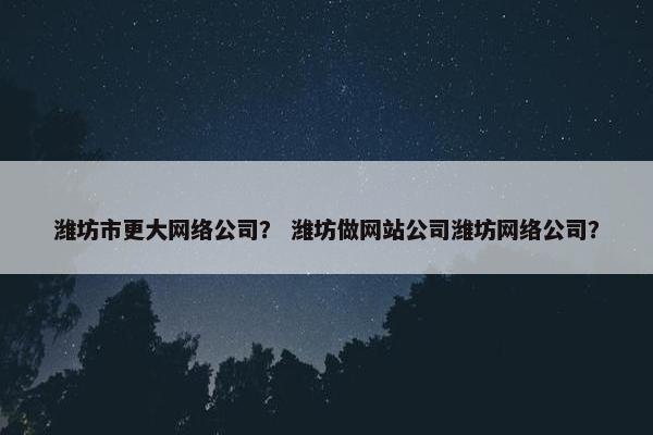 潍坊市更大网络公司？ 潍坊做网站公司潍坊网络公司？