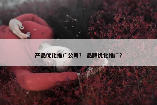 产品优化推广公司？ 品牌优化推广？