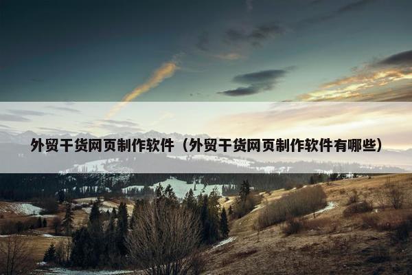 外贸干货网页制作软件（外贸干货网页制作软件有哪些）