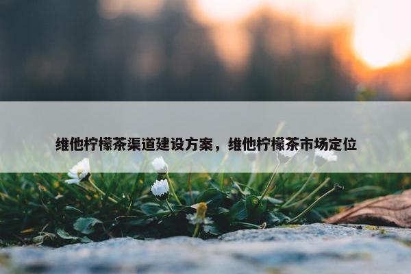 维他柠檬茶渠道建设方案，维他柠檬茶市场定位