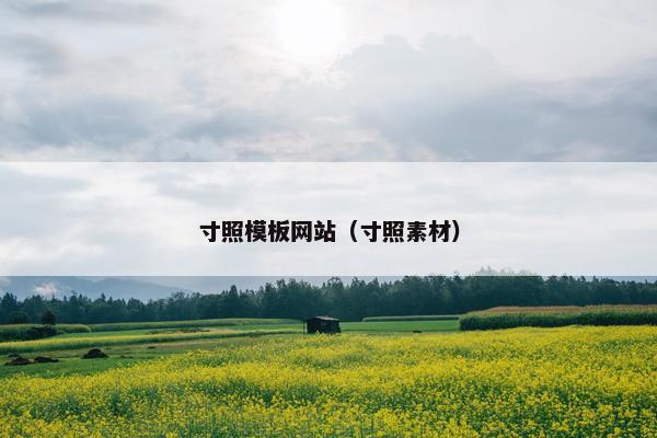 寸照模板网站（寸照素材）