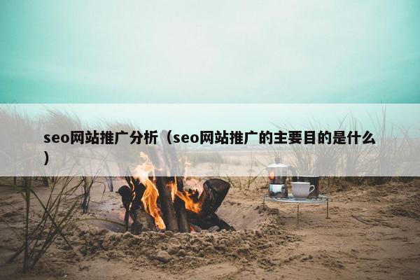 seo网站推广分析（seo网站推广的主要目的是什么）