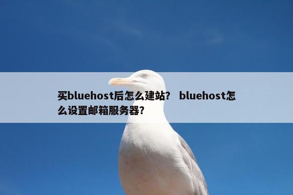 买bluehost后怎么建站？ bluehost怎么设置邮箱服务器？