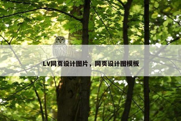 LV网页设计图片，网页设计图模板