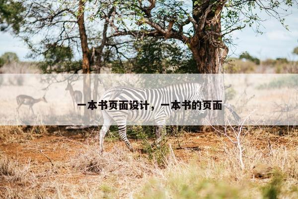 一本书页面设计，一本书的页面