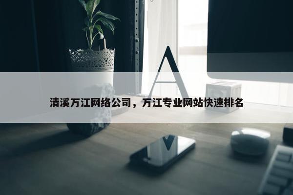 清溪万江网络公司，万江专业网站快速排名