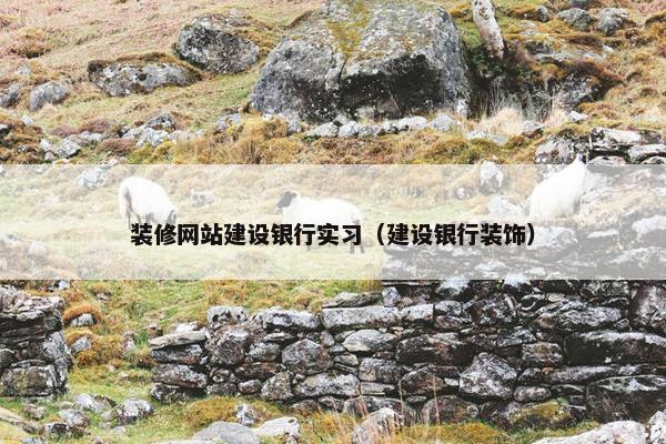 装修网站建设银行实习（建设银行装饰）