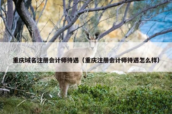 重庆域名注册会计师待遇（重庆注册会计师待遇怎么样）