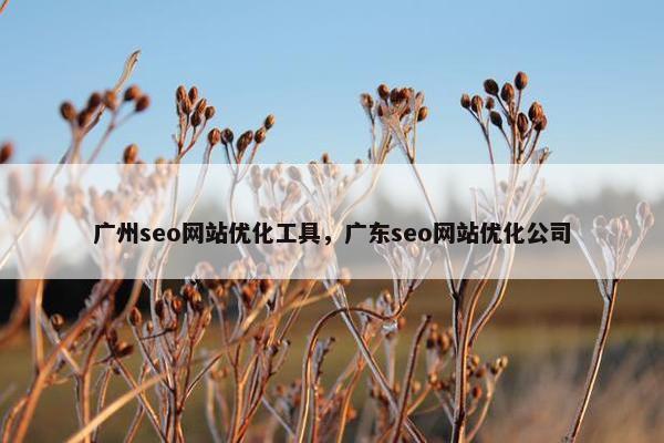 广州seo网站优化工具，广东seo网站优化公司