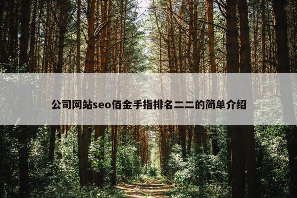 公司网站seo佰金手指排名二二的简单介绍