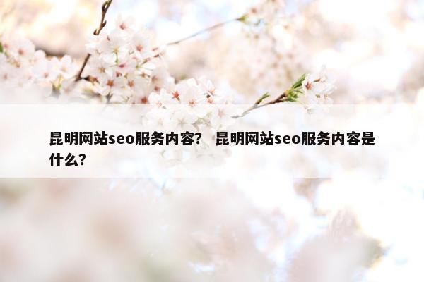 昆明网站seo服务内容？ 昆明网站seo服务内容是什么？