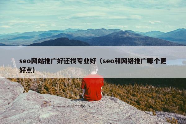 seo网站推广好还找专业好（seo和网络推广哪个更好点）