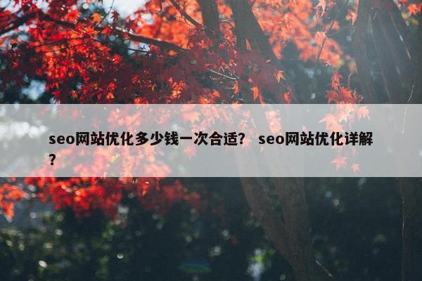 seo网站优化多少钱一次合适？ seo网站优化详解？