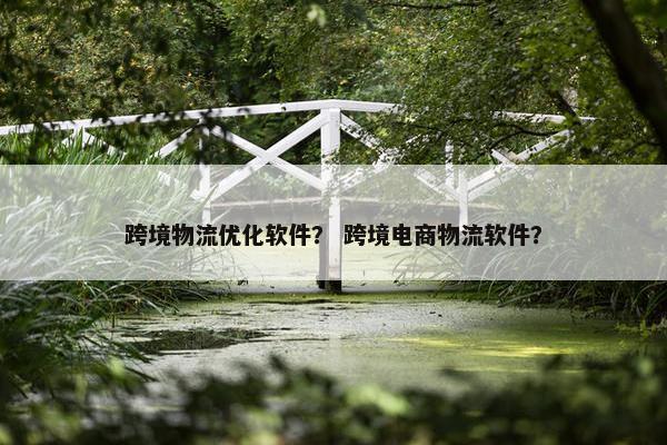 跨境物流优化软件？ 跨境电商物流软件？