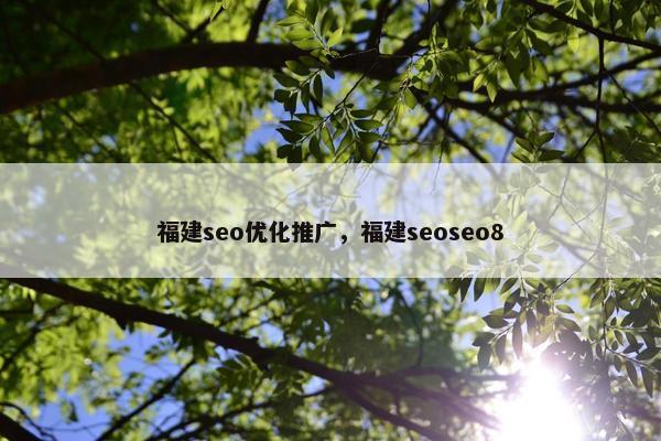 福建seo优化推广，福建seoseo8