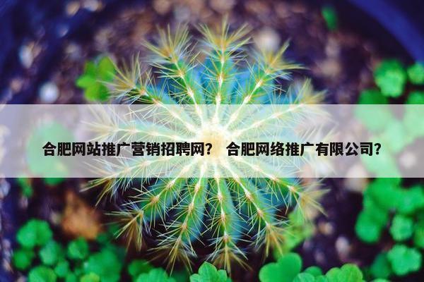 合肥网站推广营销招聘网？ 合肥网络推广有限公司？