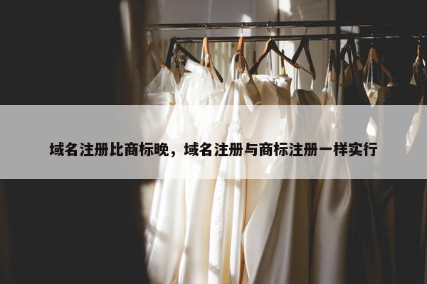 域名注册比商标晚，域名注册与商标注册一样实行