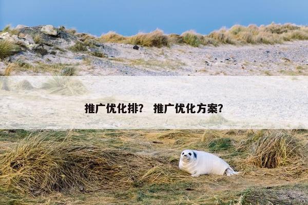 推广优化排？ 推广优化方案？