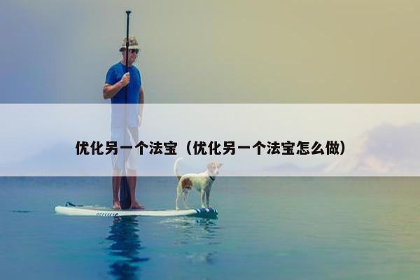 优化另一个法宝（优化另一个法宝怎么做）