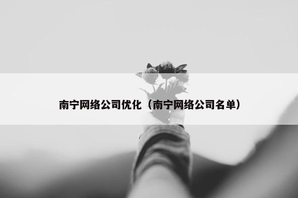 南宁网络公司优化（南宁网络公司名单）