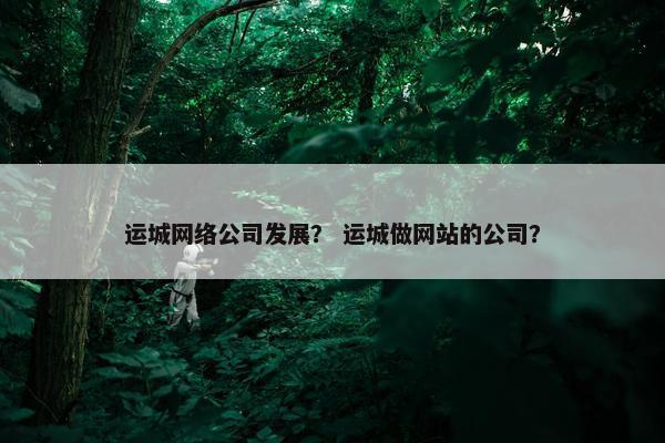 运城网络公司发展？ 运城做网站的公司？