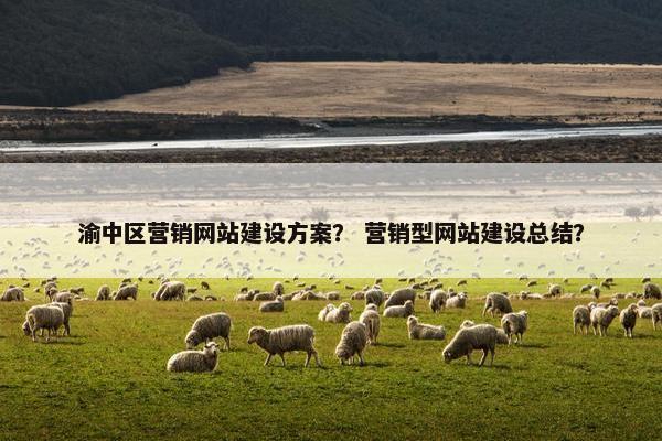 渝中区营销网站建设方案？ 营销型网站建设总结？
