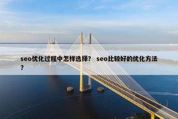 seo优化过程中怎样选择？ seo比较好的优化方法？