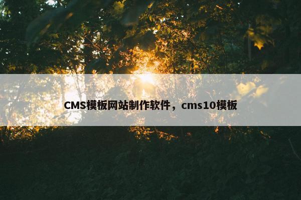 CMS模板网站制作软件，cms10模板