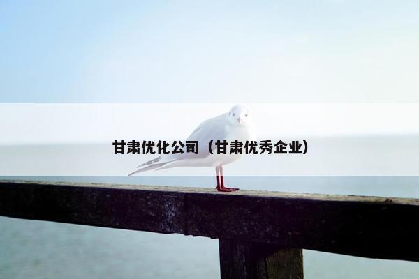 甘肃优化公司（甘肃优秀企业）