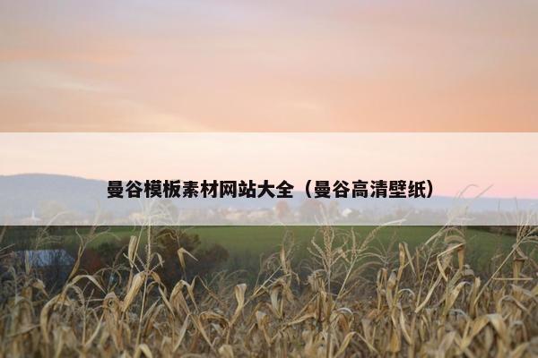 曼谷模板素材网站大全（曼谷高清壁纸）