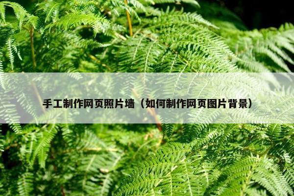 手工制作网页照片墙（如何制作网页图片背景）