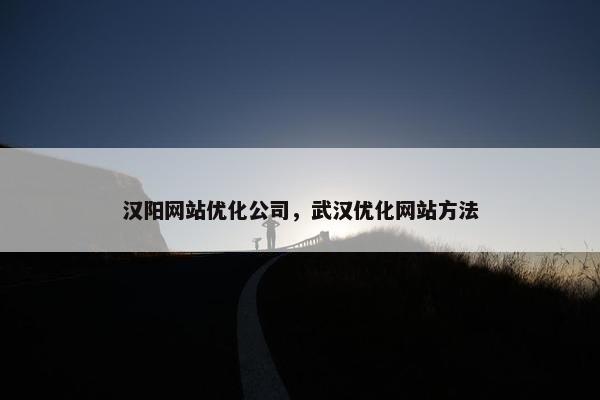 汉阳网站优化公司，武汉优化网站方法
