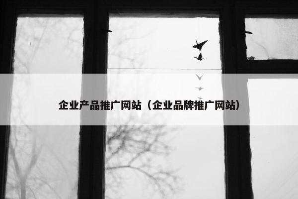 企业产品推广网站（企业品牌推广网站）