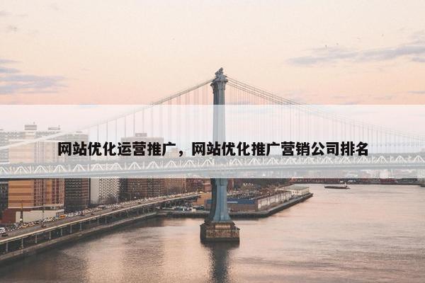网站优化运营推广，网站优化推广营销公司排名